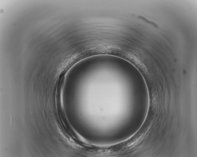 X0000060760493200511171151