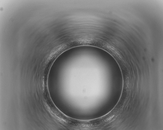 X0000060760494200511171151