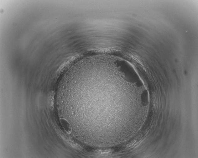 X0000060760495200511171151