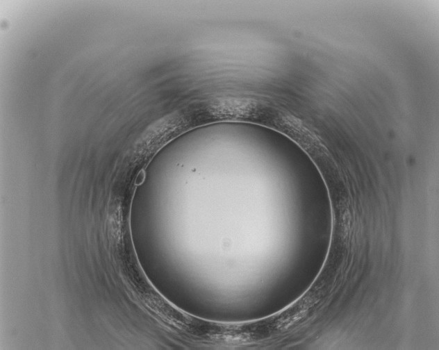 X0000060760498200511171151