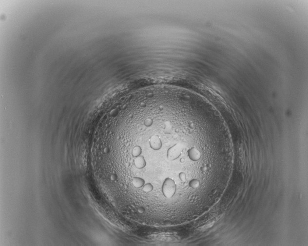 X0000060760499200511171151