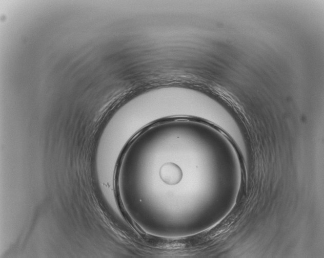 X0000060760501200511171151