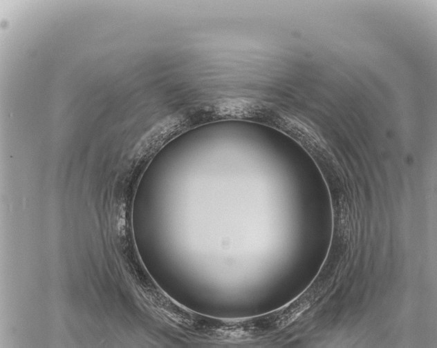 X0000060760502200511171151