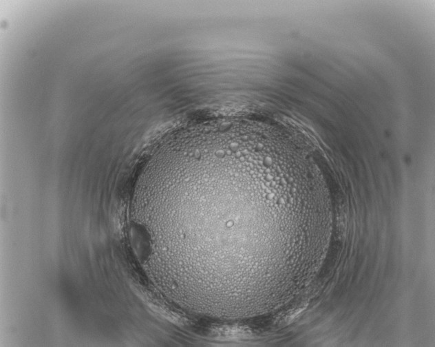 X0000060760503200511171151