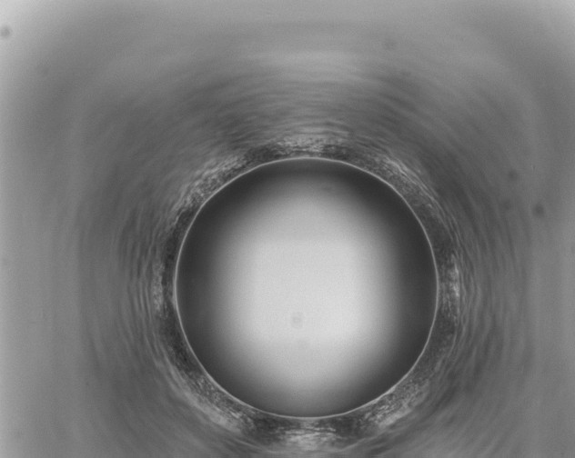 X0000060760504200511171151