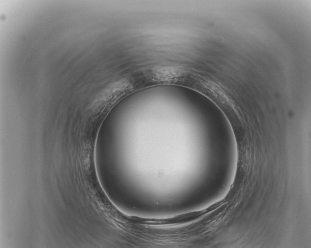 X0000060760505200511171151