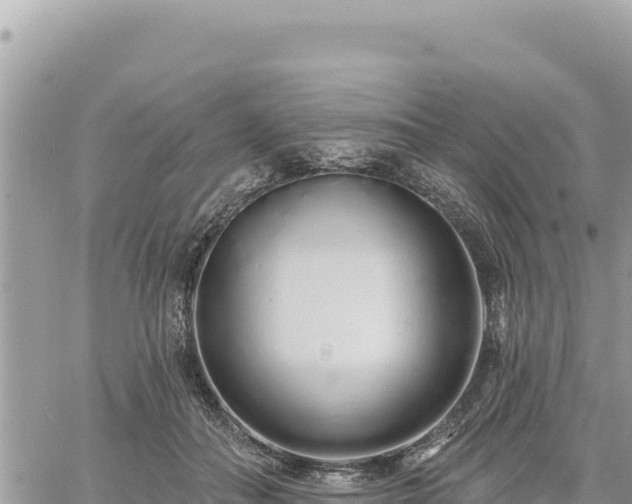 X0000060760506200511171151