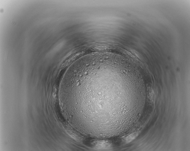 X0000060760507200511171151