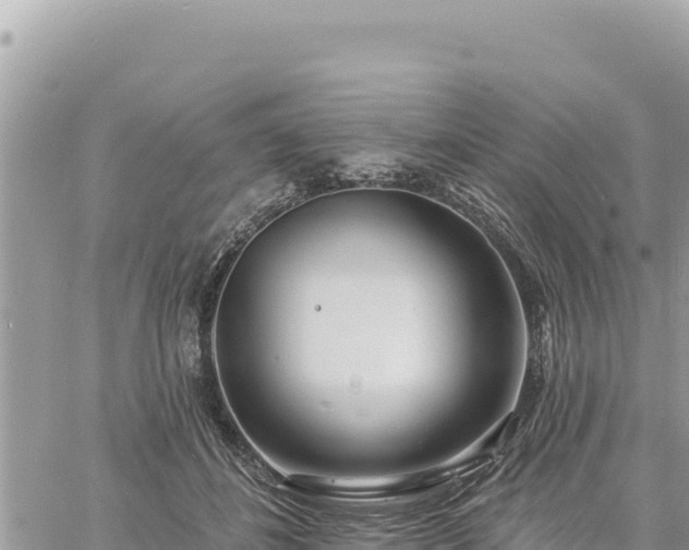 X0000060760508200511171151