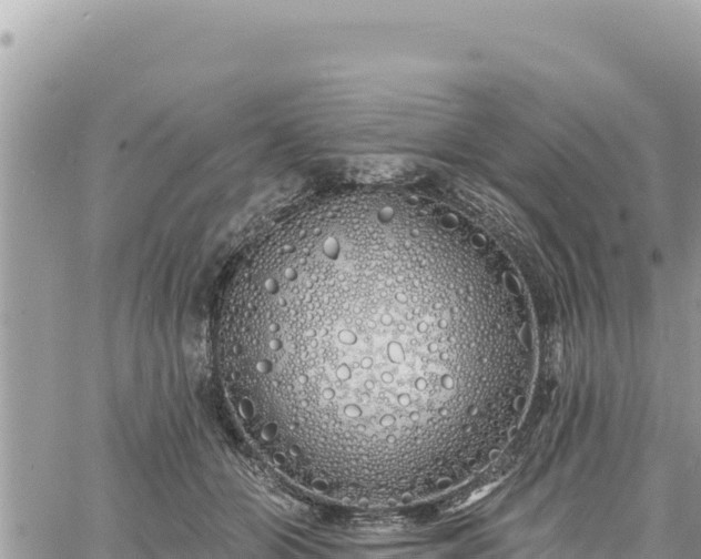 X0000060760510200511171151