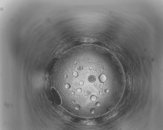 X0000060760511200511171151