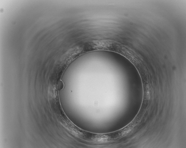 X0000060760514200511171151