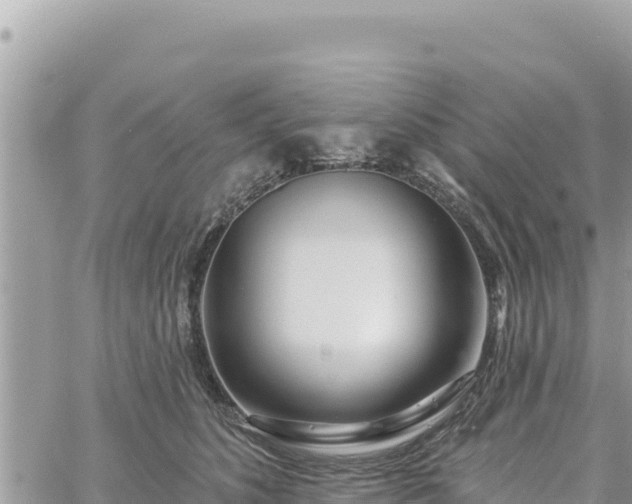 X0000060760516200511171151