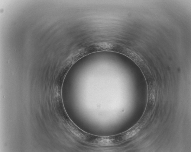 X0000060760518200511171151