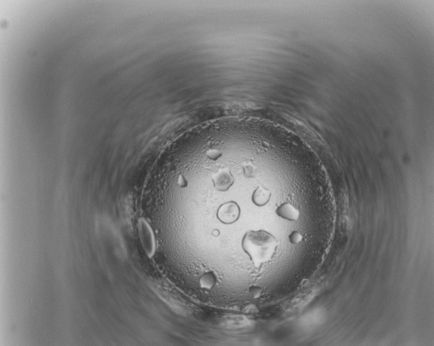 X0000060760519200511171151