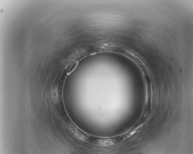 X0000060760520200511171151