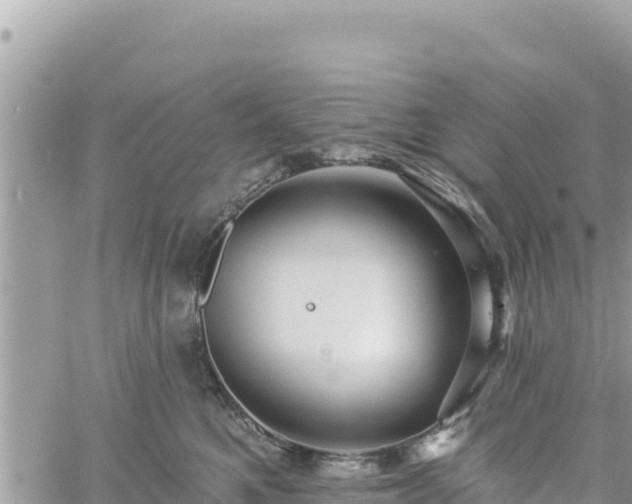 X0000060760521200511171151