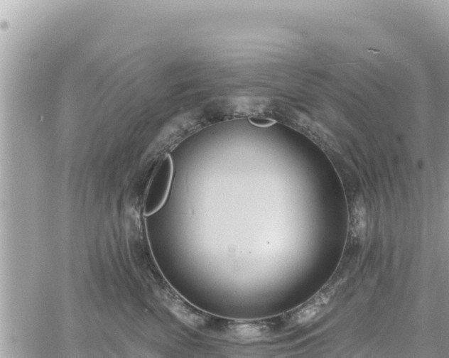 X0000060760522200511171151