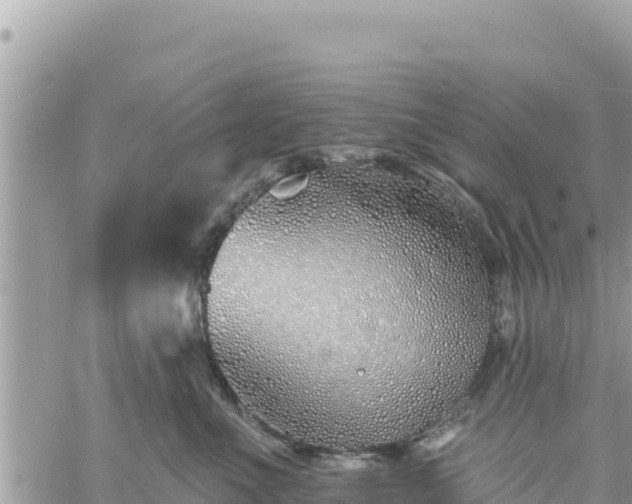 X0000060760523200511171151