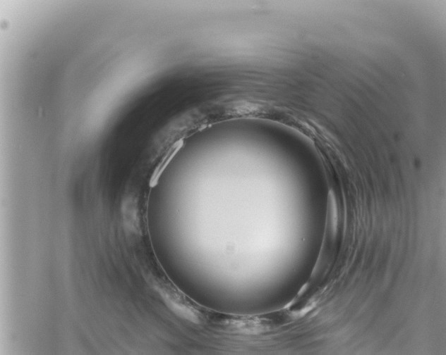 X0000060760524200511171151