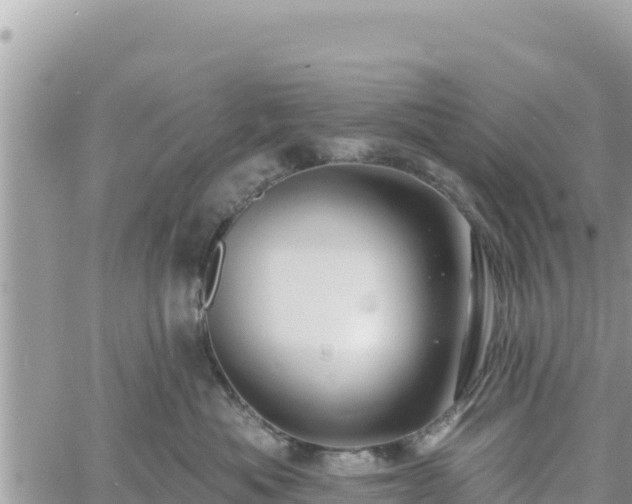 X0000060760525200511171151