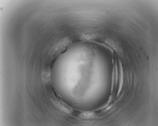 X0000060760526200511171151