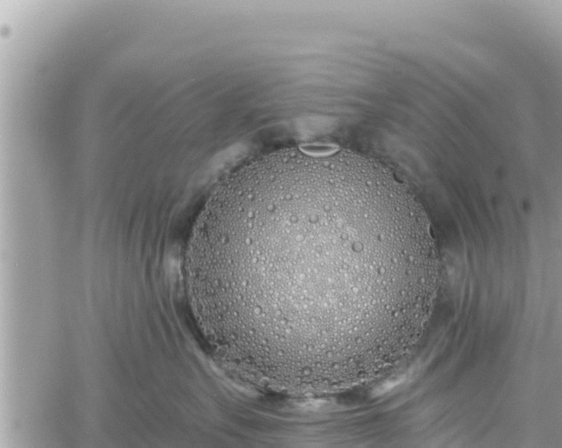 X0000060760527200511171151