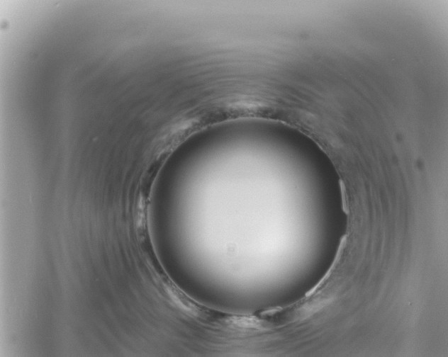 X0000060760528200511171151