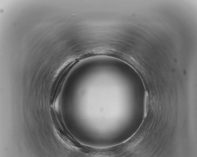 X0000060760530200511171150