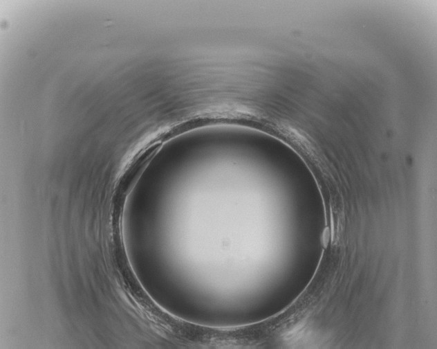 X0000060760531200511171150