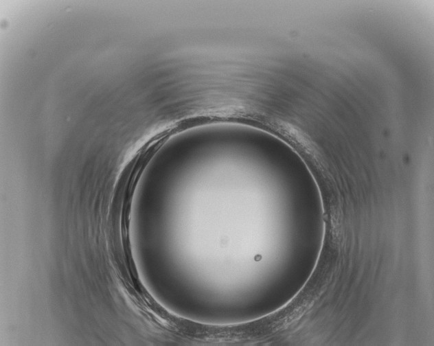 X0000060760532200511171150