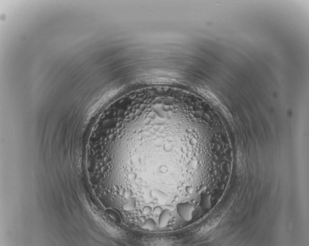 X0000060760533200511171150