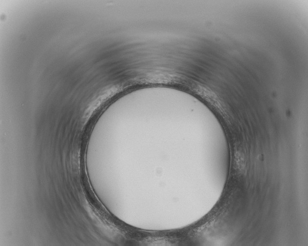 X0000060760534200511171150