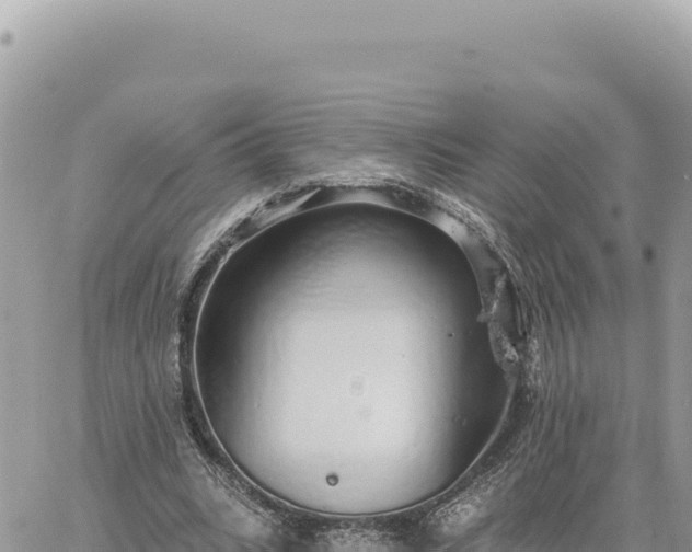 X0000060760535200511171150