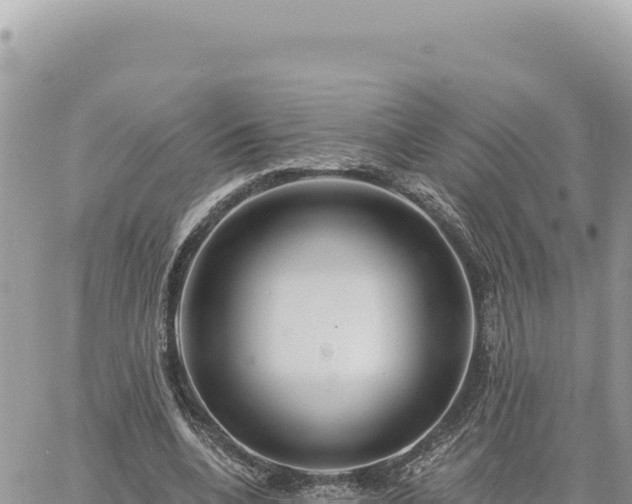 X0000060760536200511171150