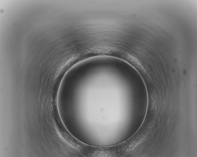 X0000060760538200511171150