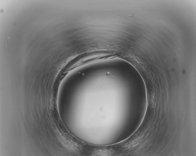 X0000060760540200511171150