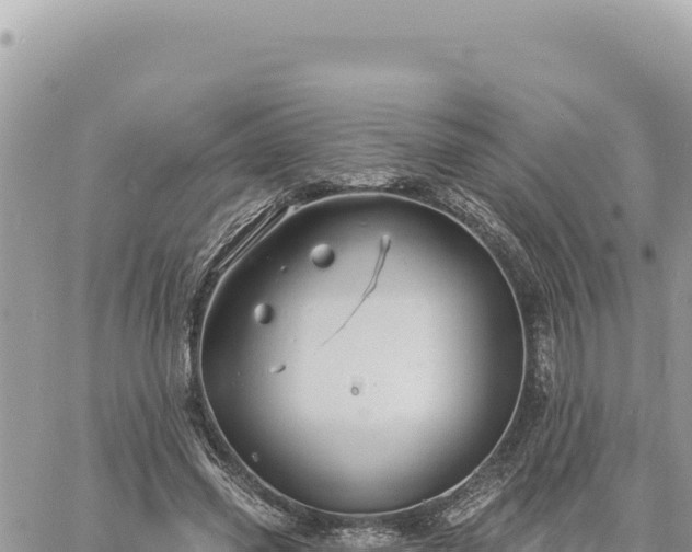 X0000060760541200511171150