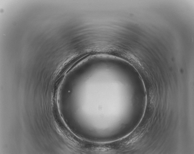 X0000060760542200511171150