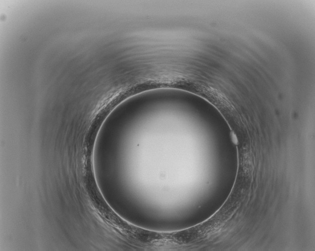 X0000060760544200511171150