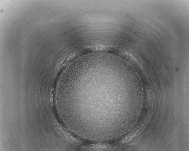 X0000060760545200511171150