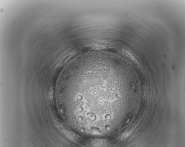 X0000060760549200511171150