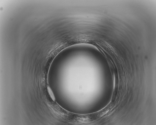 X0000060760552200511171150