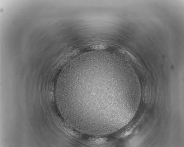 X0000060760553200511171150