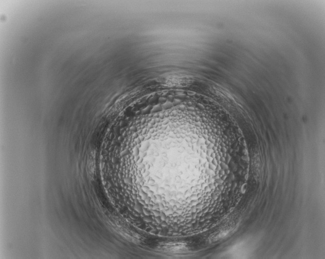 X0000060760554200511171150