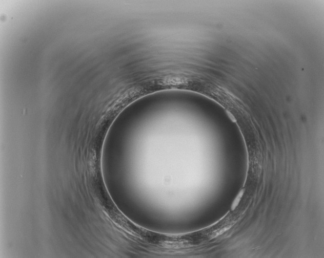 X0000060760556200511171151