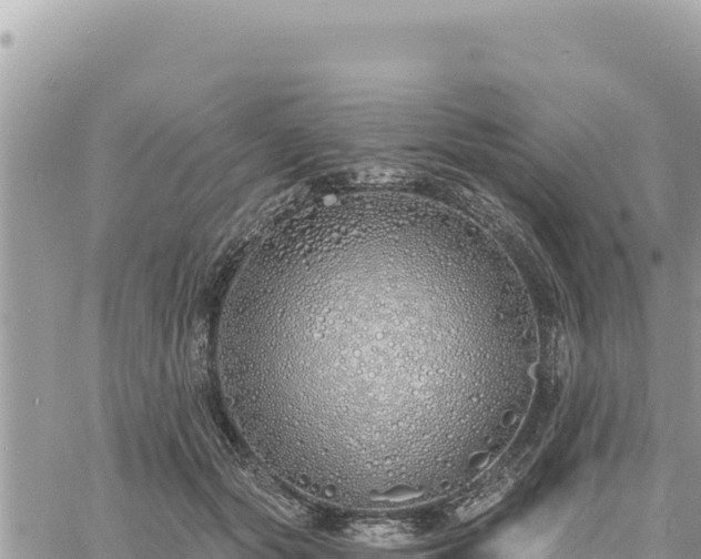 X0000060760557200511171151