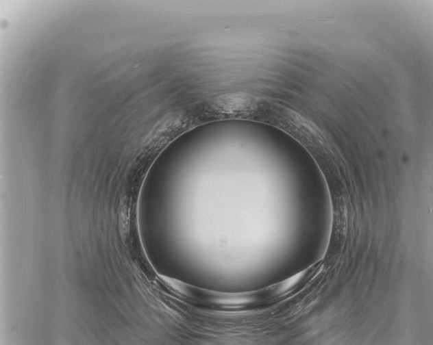 X0000060760558200511171151