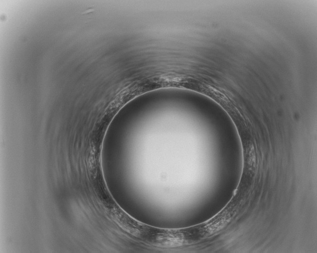 X0000060760559200511171151