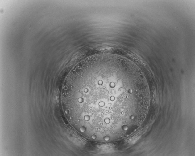 X0000060760561200511171151